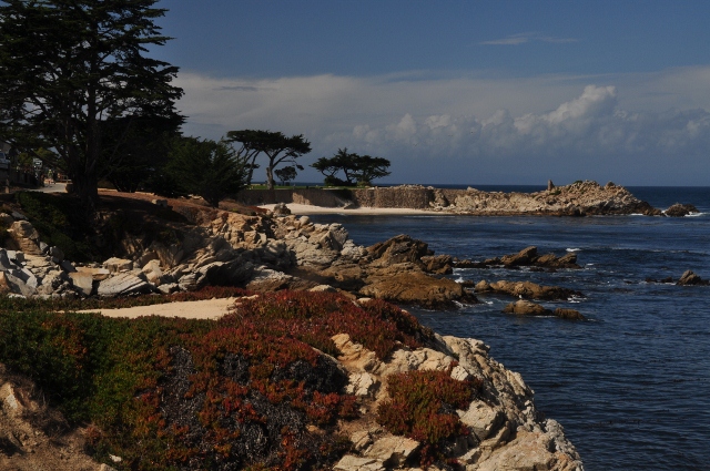 Lover's Park, Pacific Grove